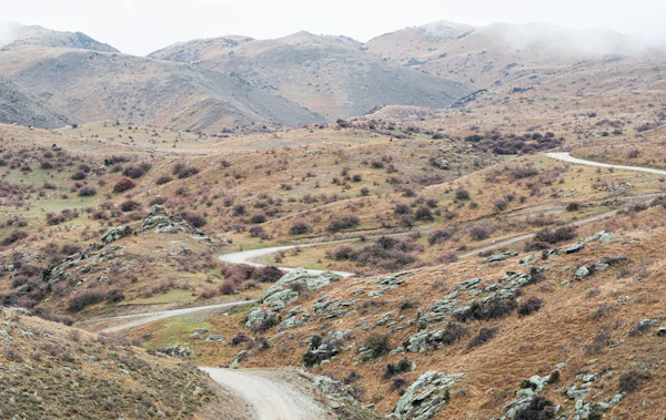Dry Central Otago hills under a pale sky