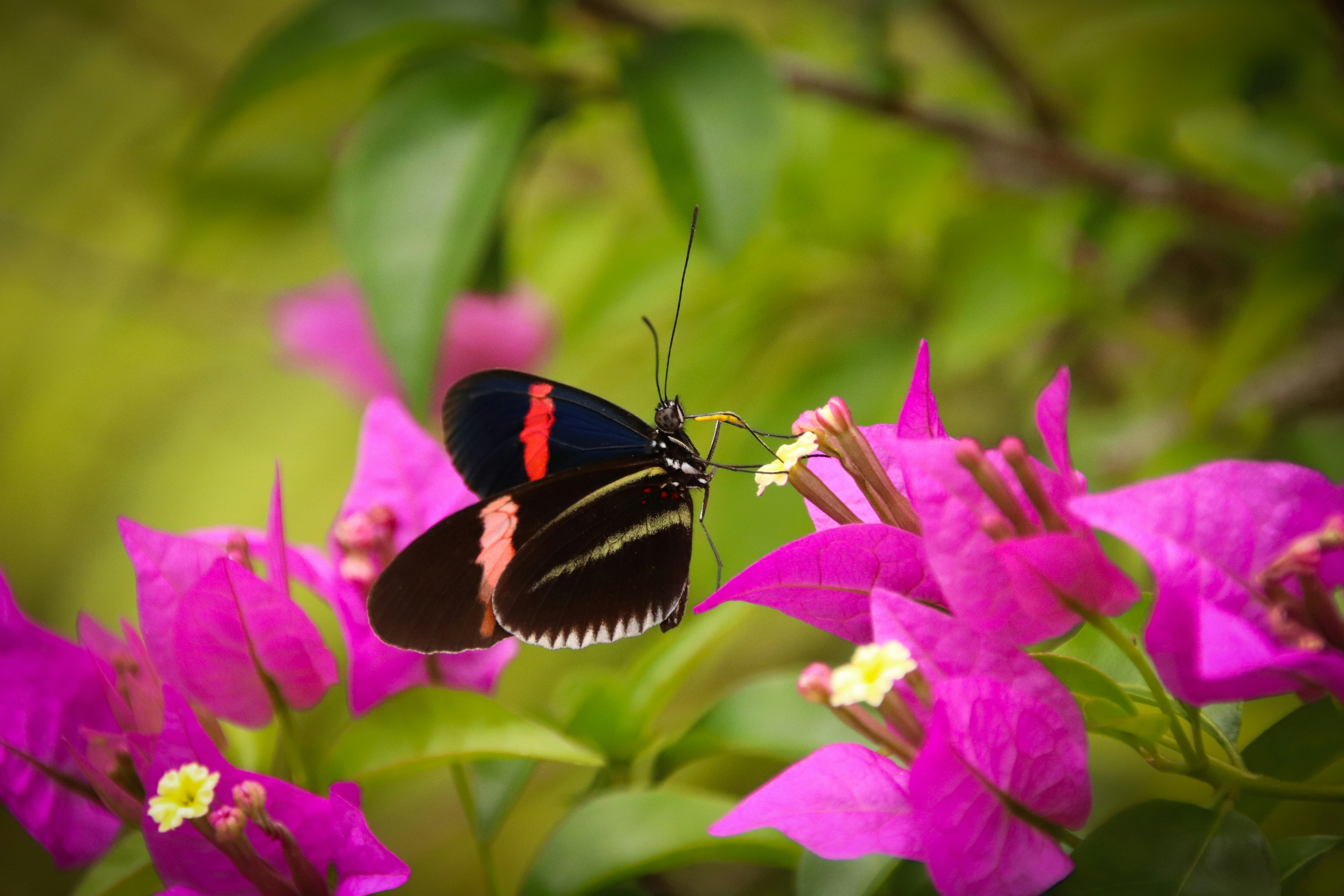 Photo by gabrielhidalgo