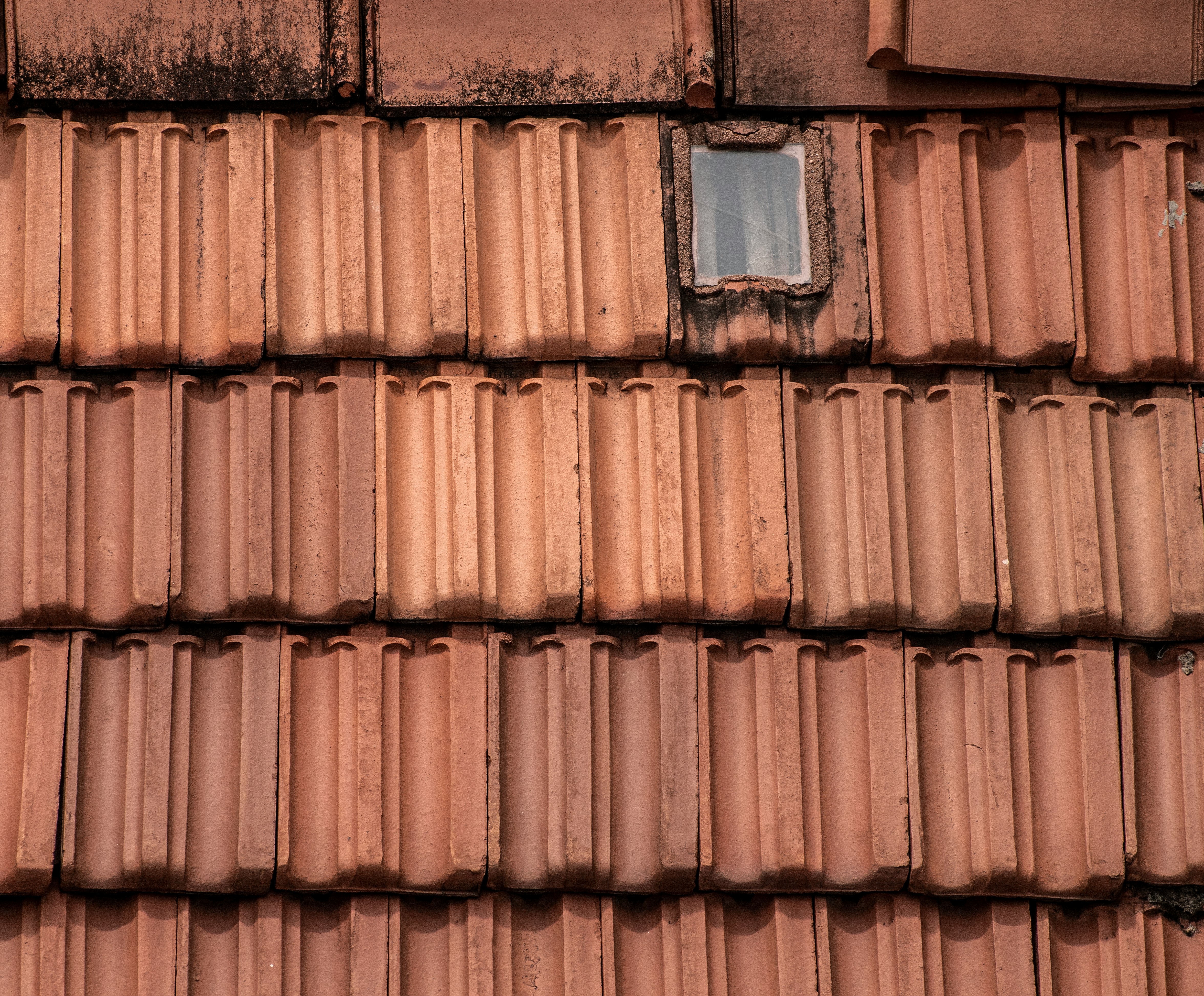 brown roof tiles with blue round plastic