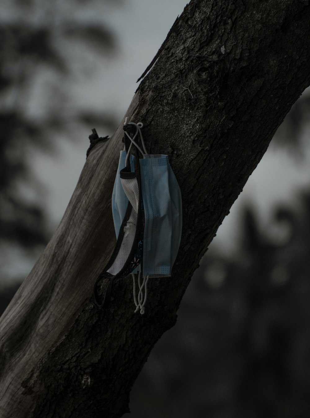 茶色の木の枝にぶら下がっている青と白の巾着袋