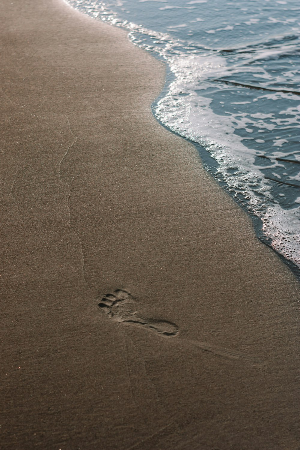 veduta aerea della spiaggia durante il giorno