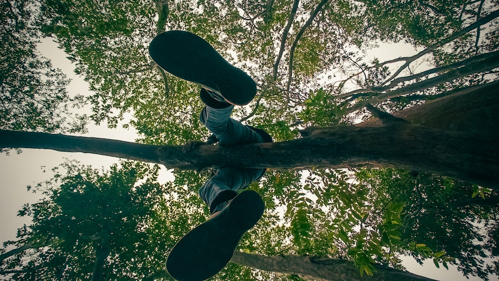 man in blue denim jeans and black sneakers jumping on tree during daytime