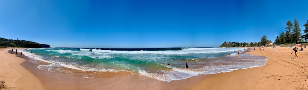 people on beach during daytime