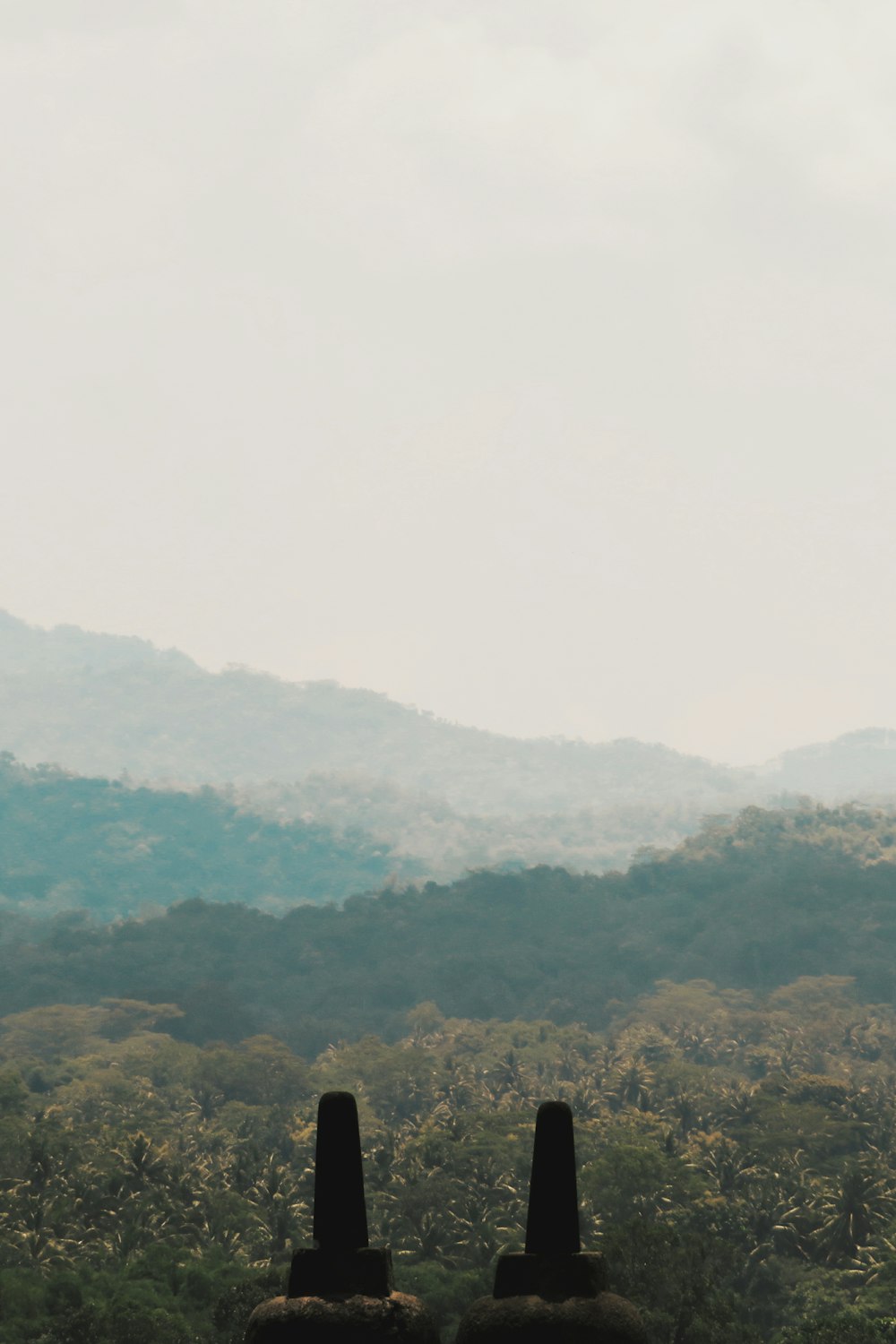 green trees on mountain during daytime