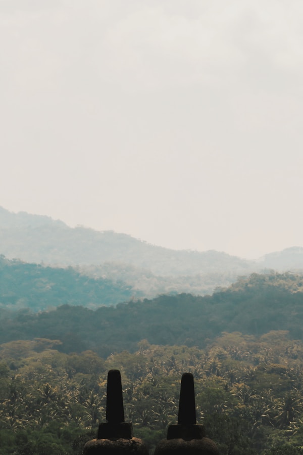 Explore Magelang: Local Culture, Traditions, Festivals