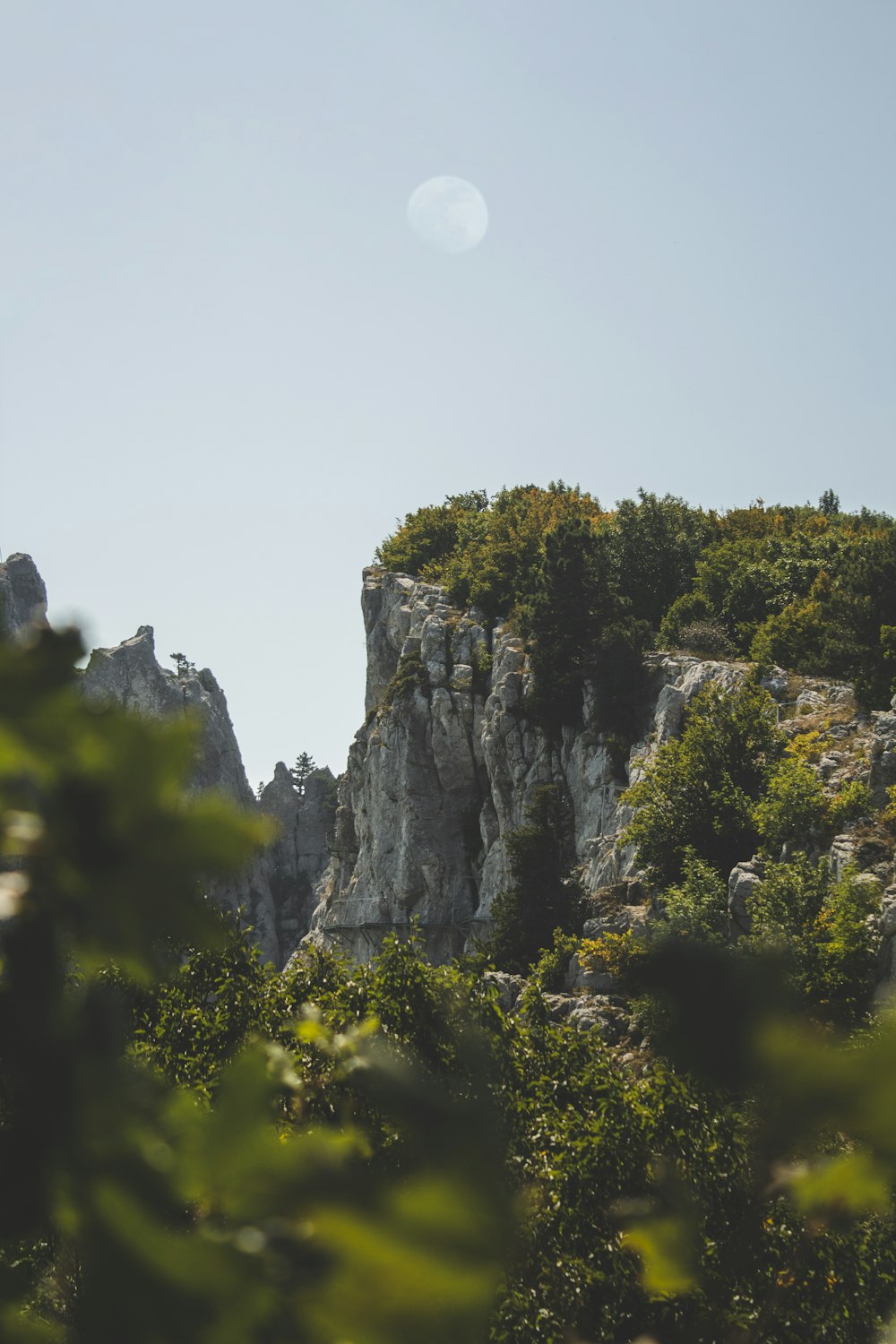 árvores verdes na montanha rochosa durante o dia