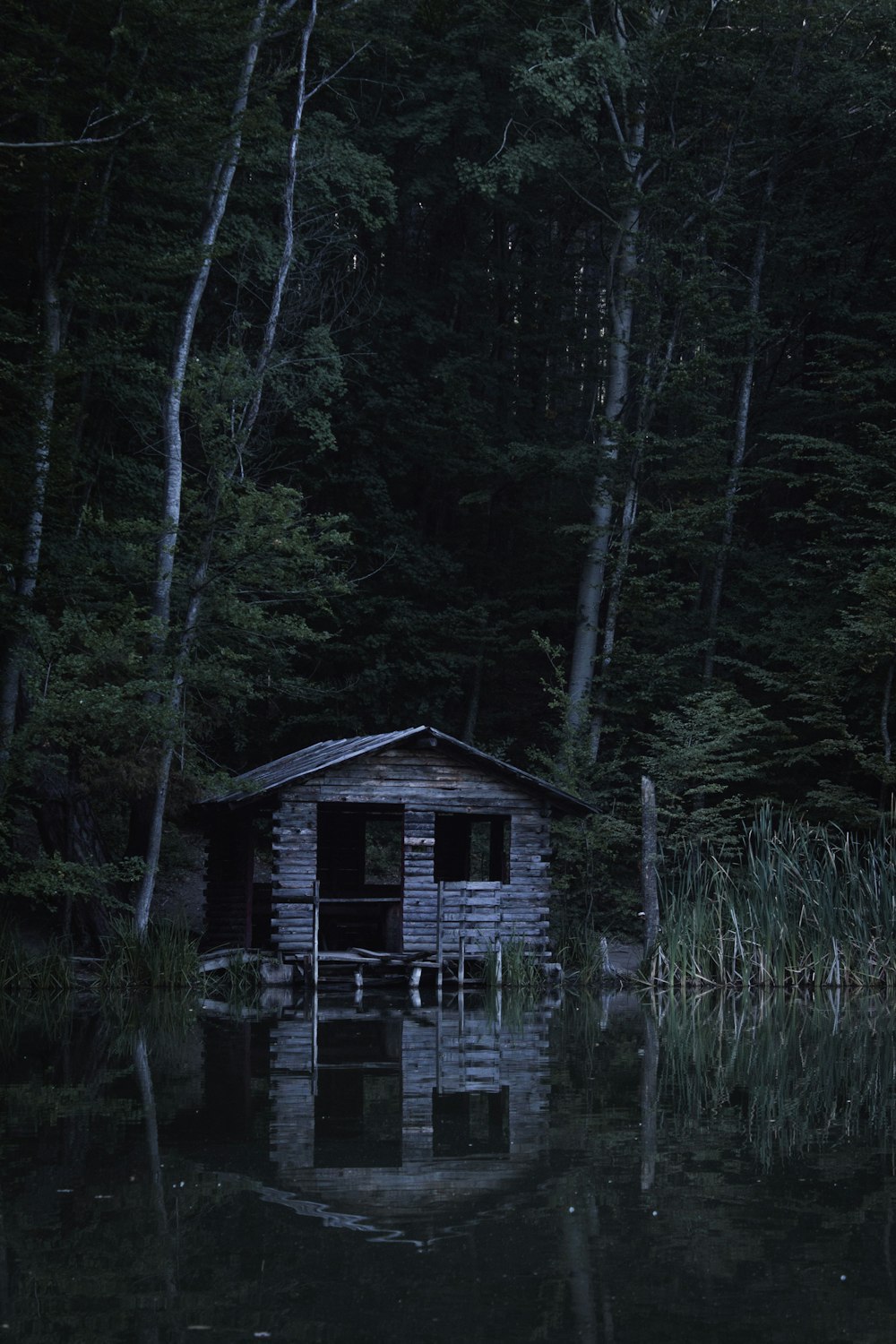 brown wooden house on lake surrounded by trees during daytime