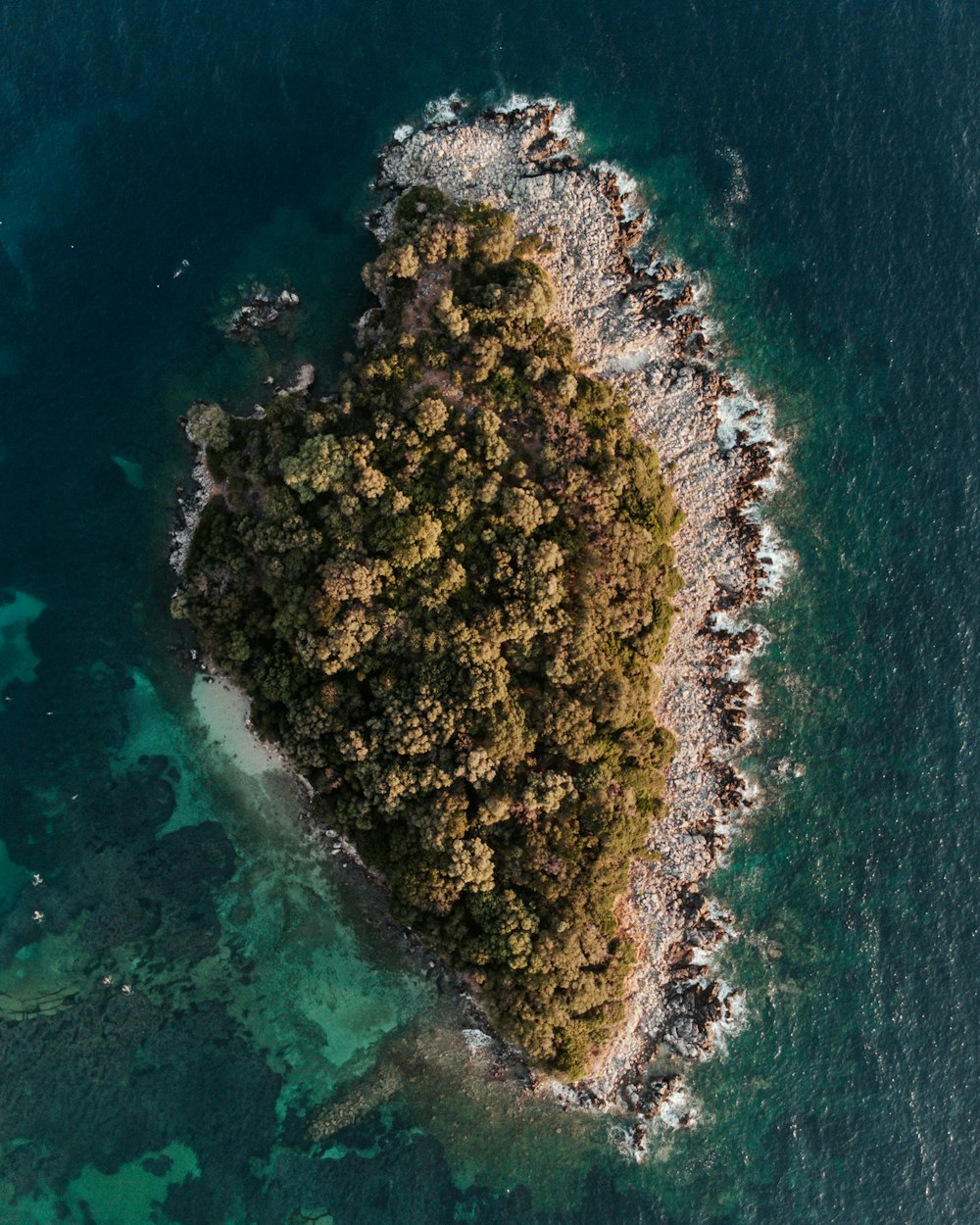 aerial view of green and brown island