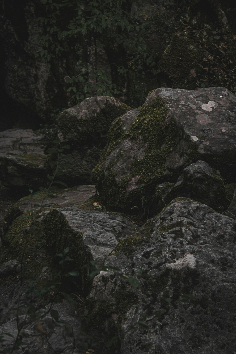 gray rock formation during daytime