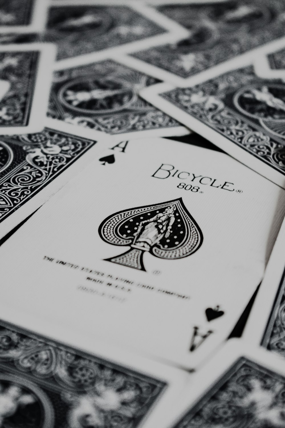 white and black playing cards