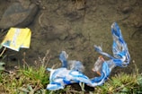 Discarded plastic wrappers and trash visible near a muddy water body with some greenery and grass at the edge.