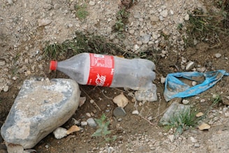 A discarded plastic bottle is lying on rocky and earthy ground, next to a blue plastic piece and surrounded by gravel and small patches of grass. A large stone is nearby, partially covered with dirt.