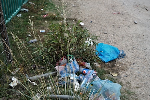 A collection of discarded items, including plastic bags, bottles, and other debris, lies on the ground near a patch of green plants. The surrounding area features grass and a gravel path. There is a blue garbage bag among the litter, and some of the debris is partially spread out onto the dirt road. The scene suggests neglect and pollution.