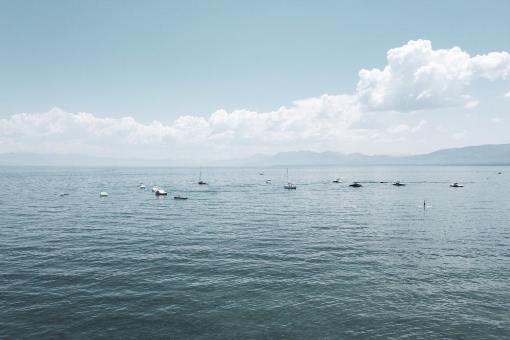 white boats on sea under blue sky during daytime