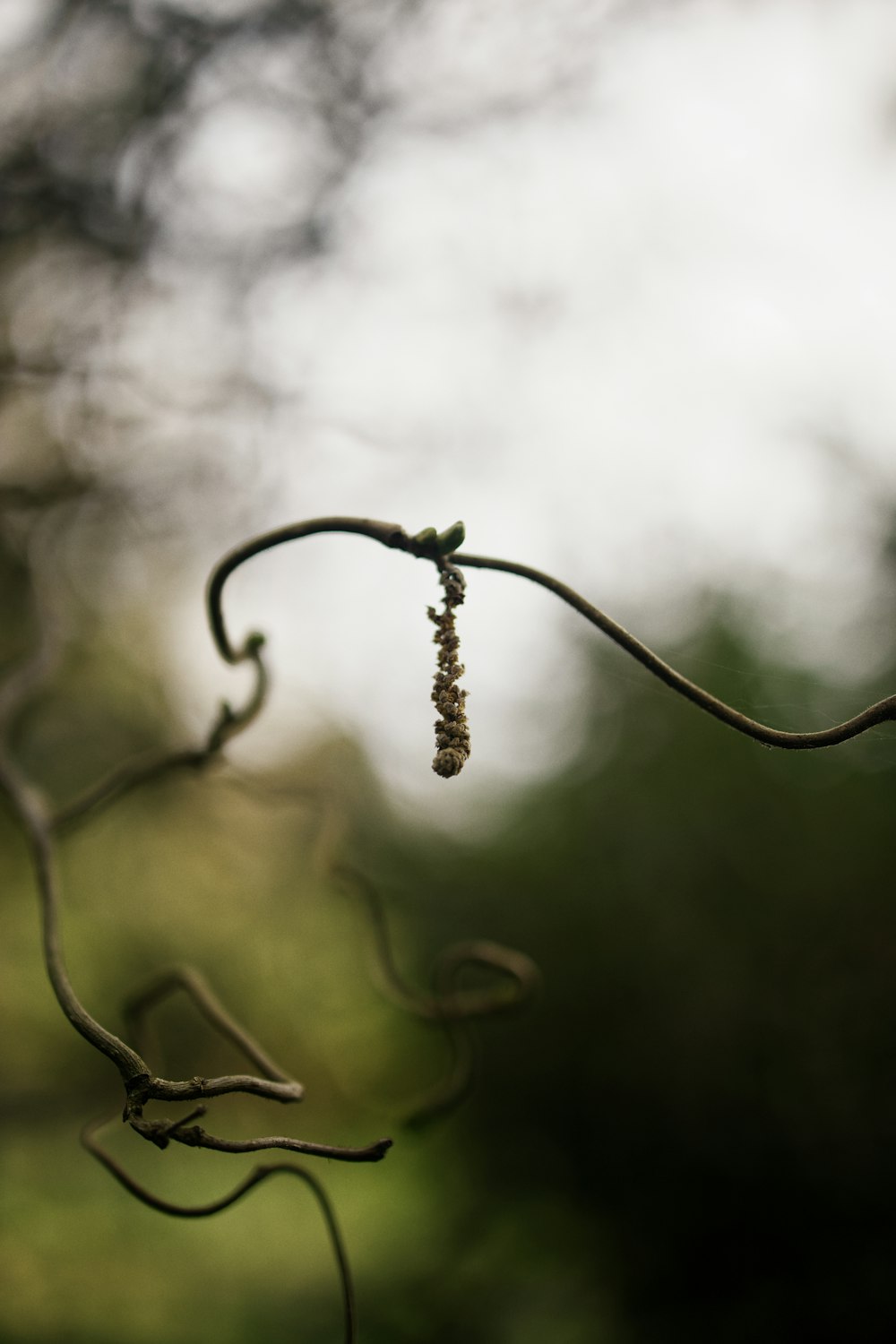 water dew on black metal wire