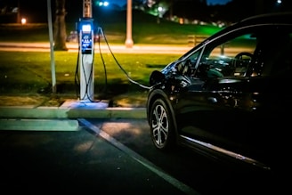 A car is parked in a dimly lit area, connected to an electric vehicle charging station. The surroundings include grassy areas and pathways illuminated by streetlights, contributing to a calm nighttime ambiance.