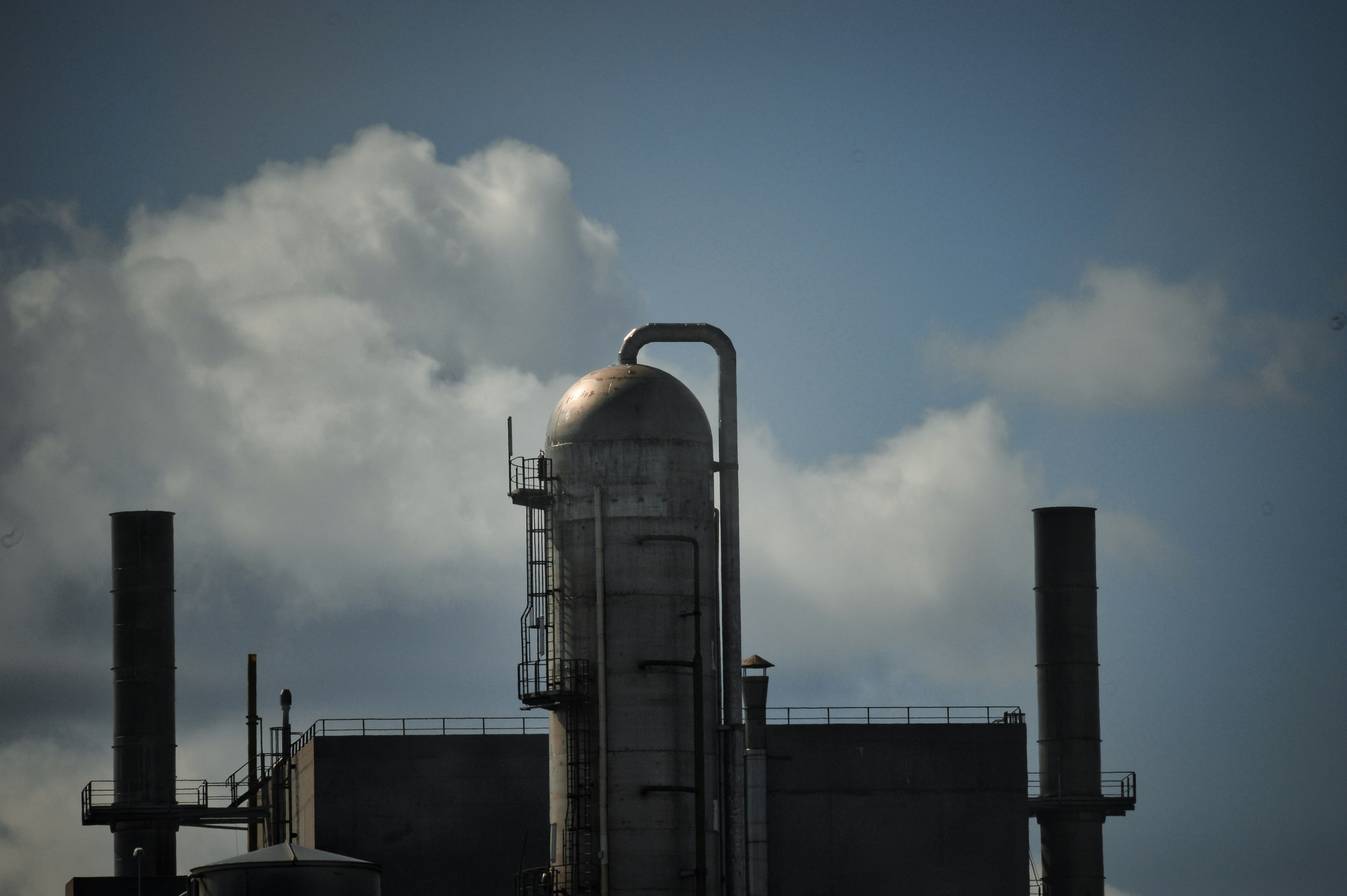 Photo by gunnarridder