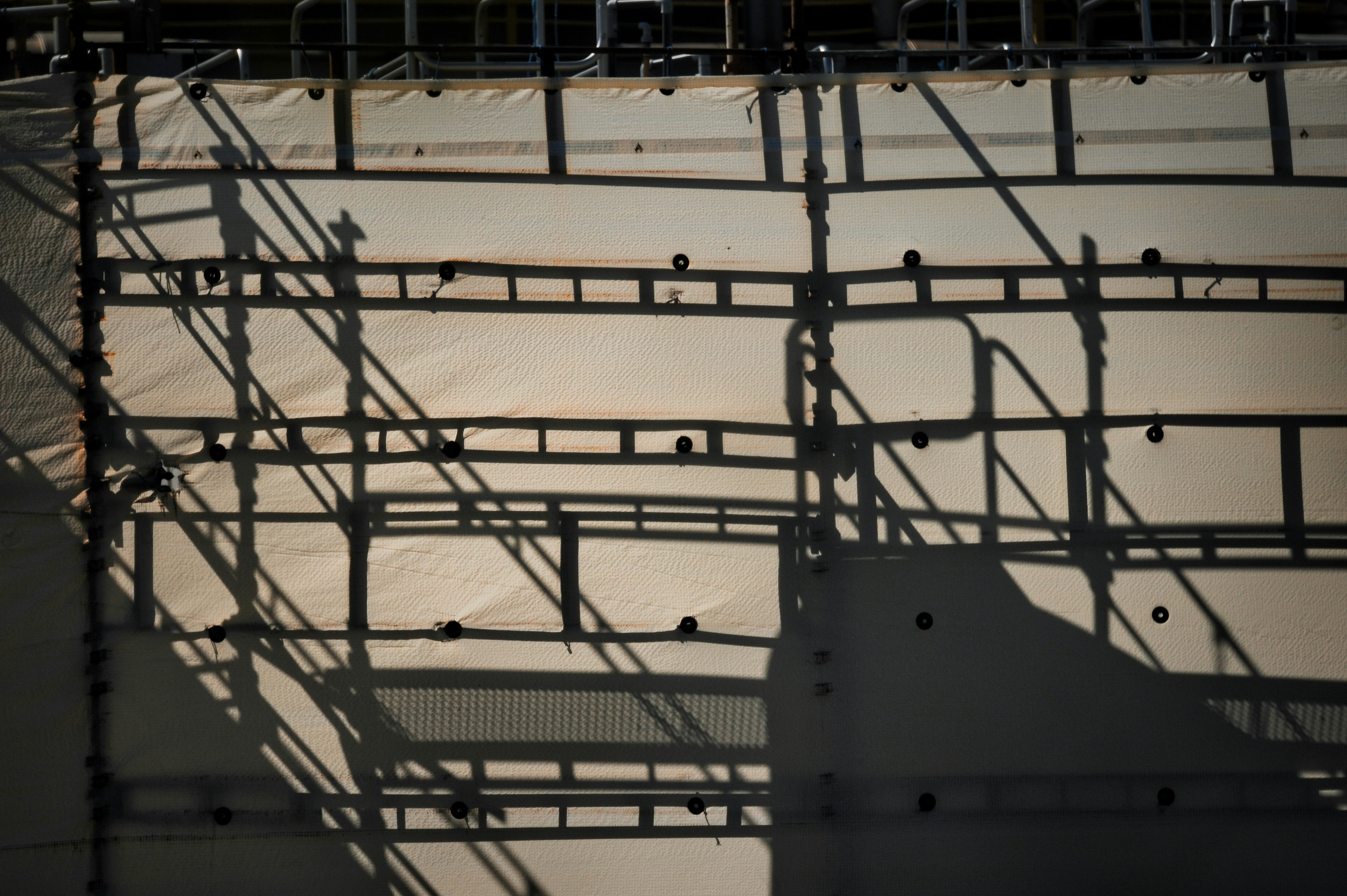 Photo by gunnarridder