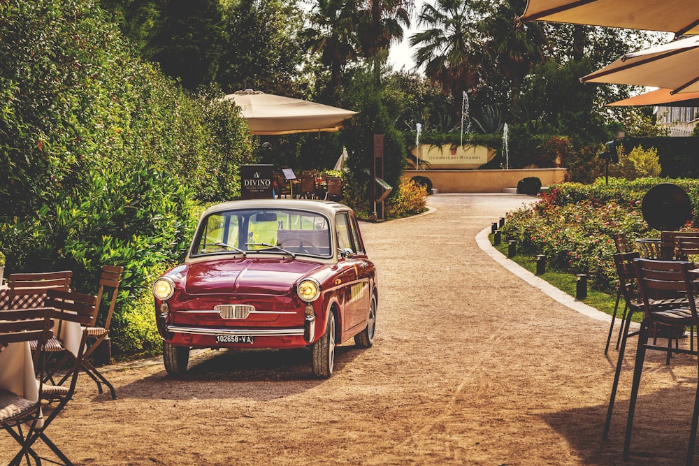 red vintage car parked near green trees during daytime