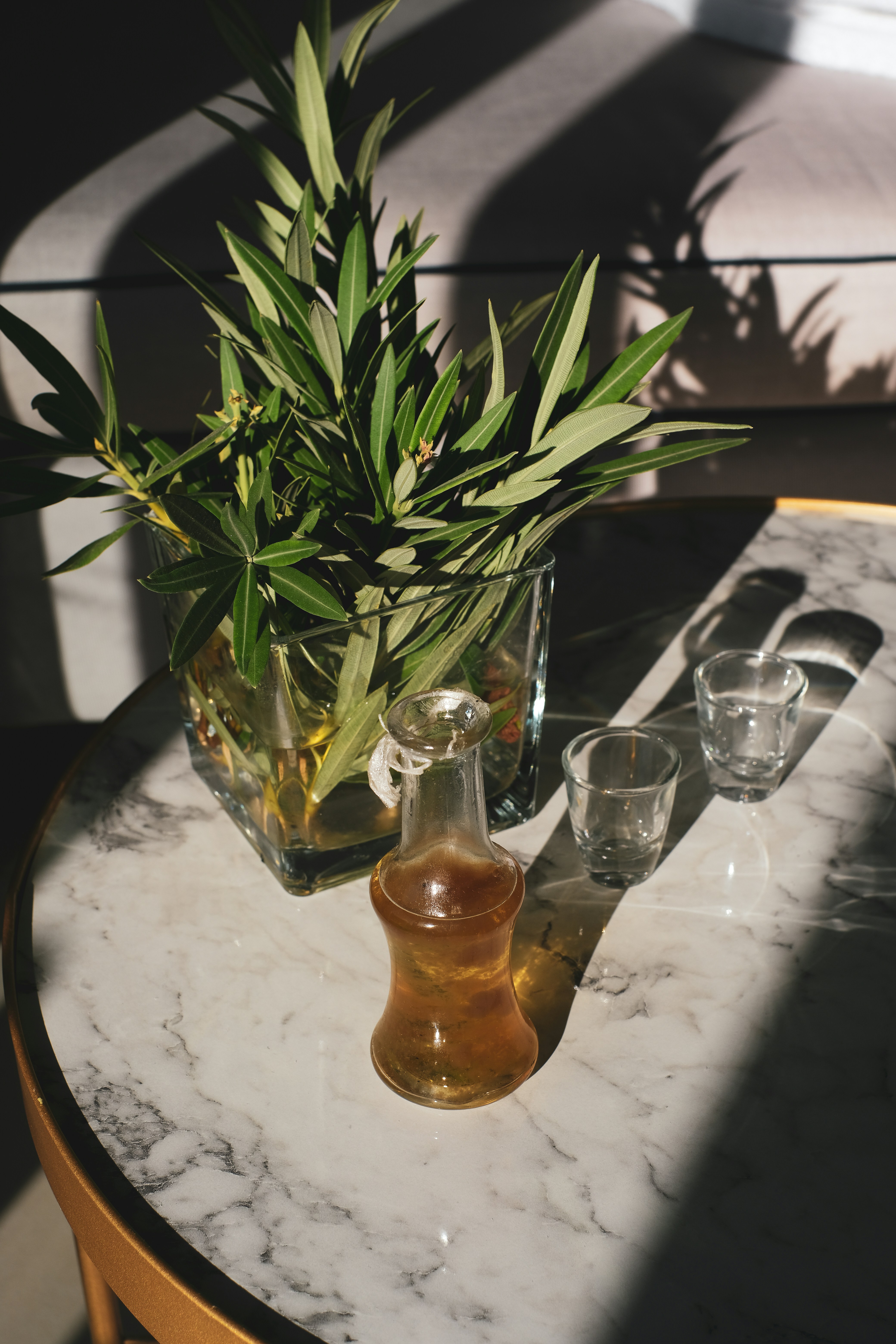 Green plant in clear glass vase photo – Free Crete Image on Unsplash