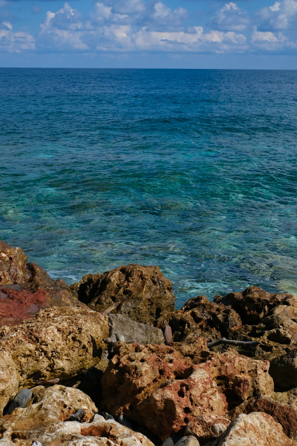 brown rocky shore with blue water