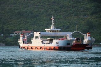 white and red ship on sea during daytime