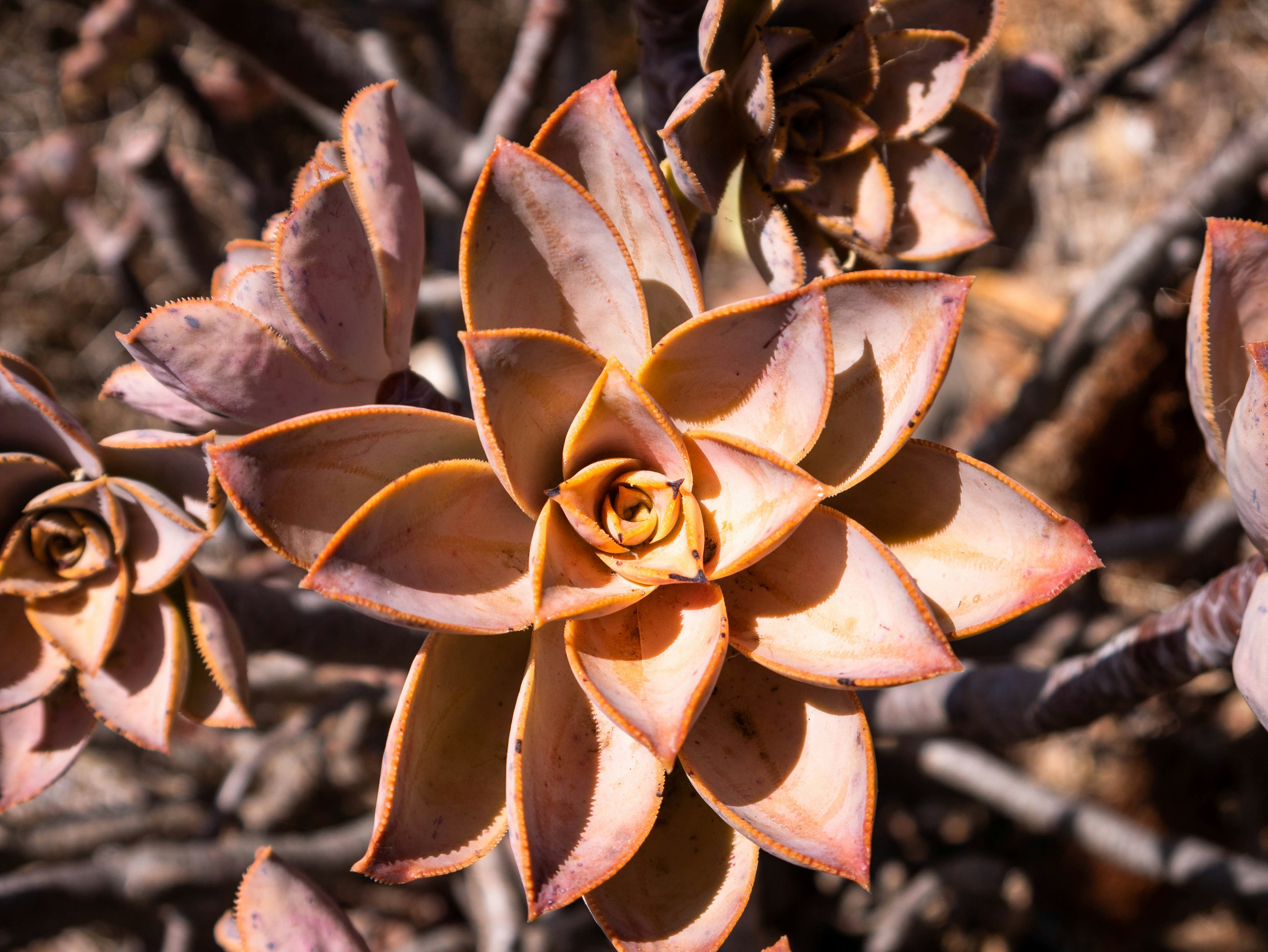 Photo by jameskitt616