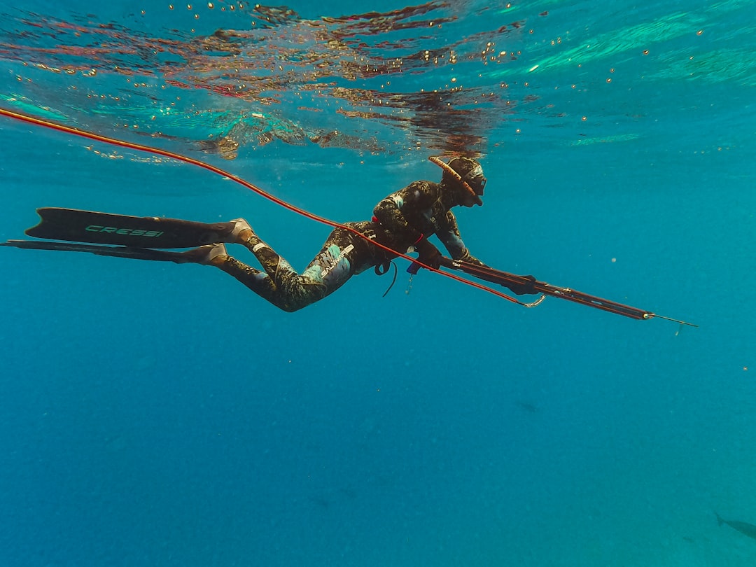 woman in black and white bikini swimming in blue water