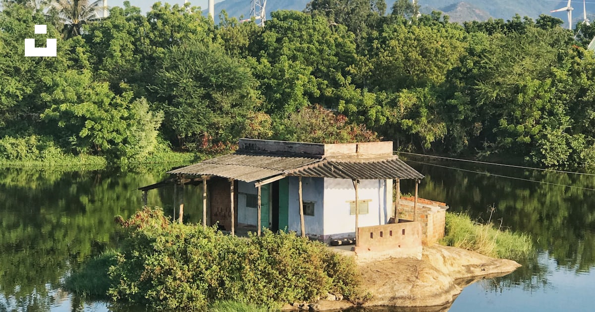 White and brown house near green trees and lake during daytime photo