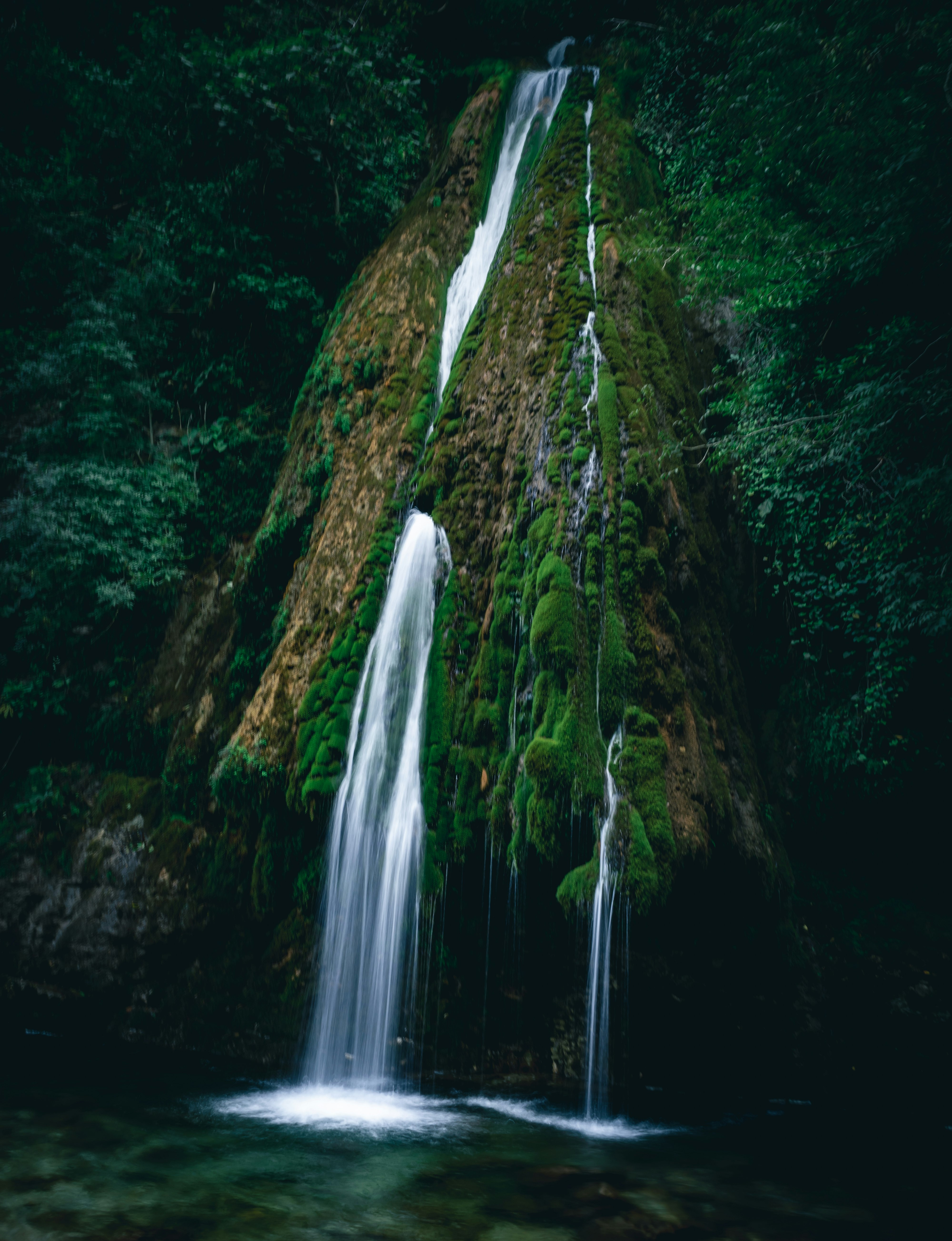 water falls in the middle of the forest