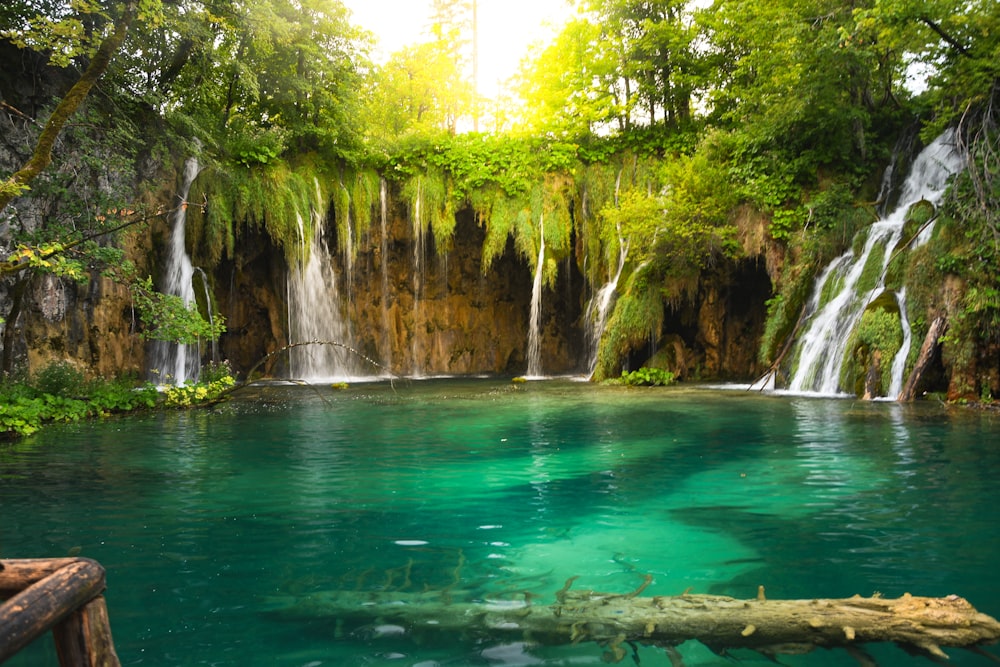 green water and green trees during daytime