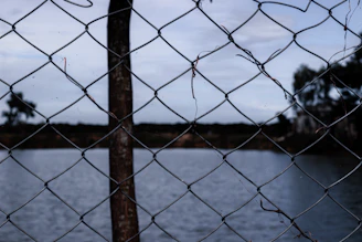 Close-up of a strong metal chain link fence blending with a rural landscape.