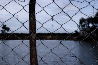 A close-up view of a chain-link fence with a blurry background that includes a body of water and trees. The fence is made of metal wire with a rustic, weathered appearance.