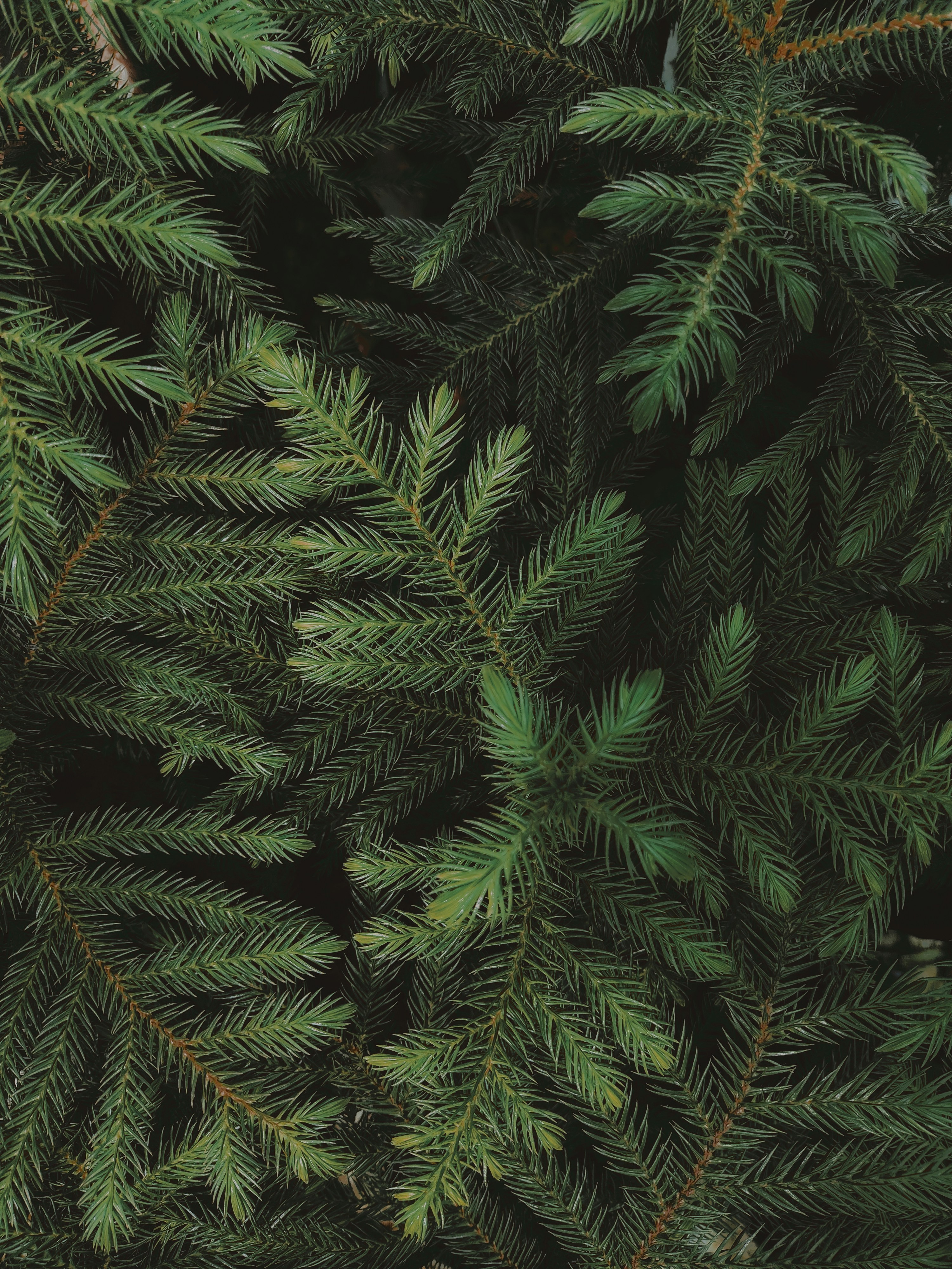 Photo by ig__prajwal