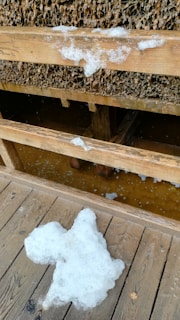A wooden structure with a porous surface covered in white foam, resembling salt residue. The wood appears weathered, and there is foam accumulating on the wooden floor.
