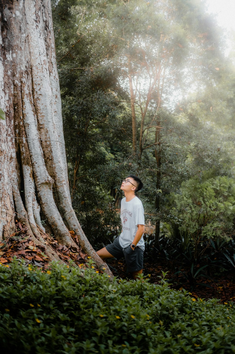 a man standing in front of a large tree