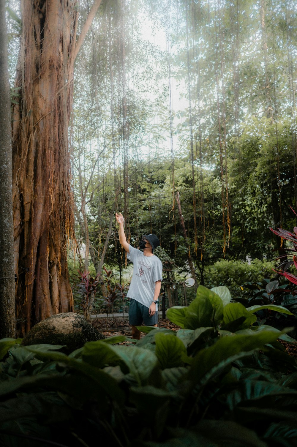 a man standing next to a tree in a forest