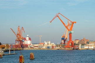 red and white crane near body of water during daytime
