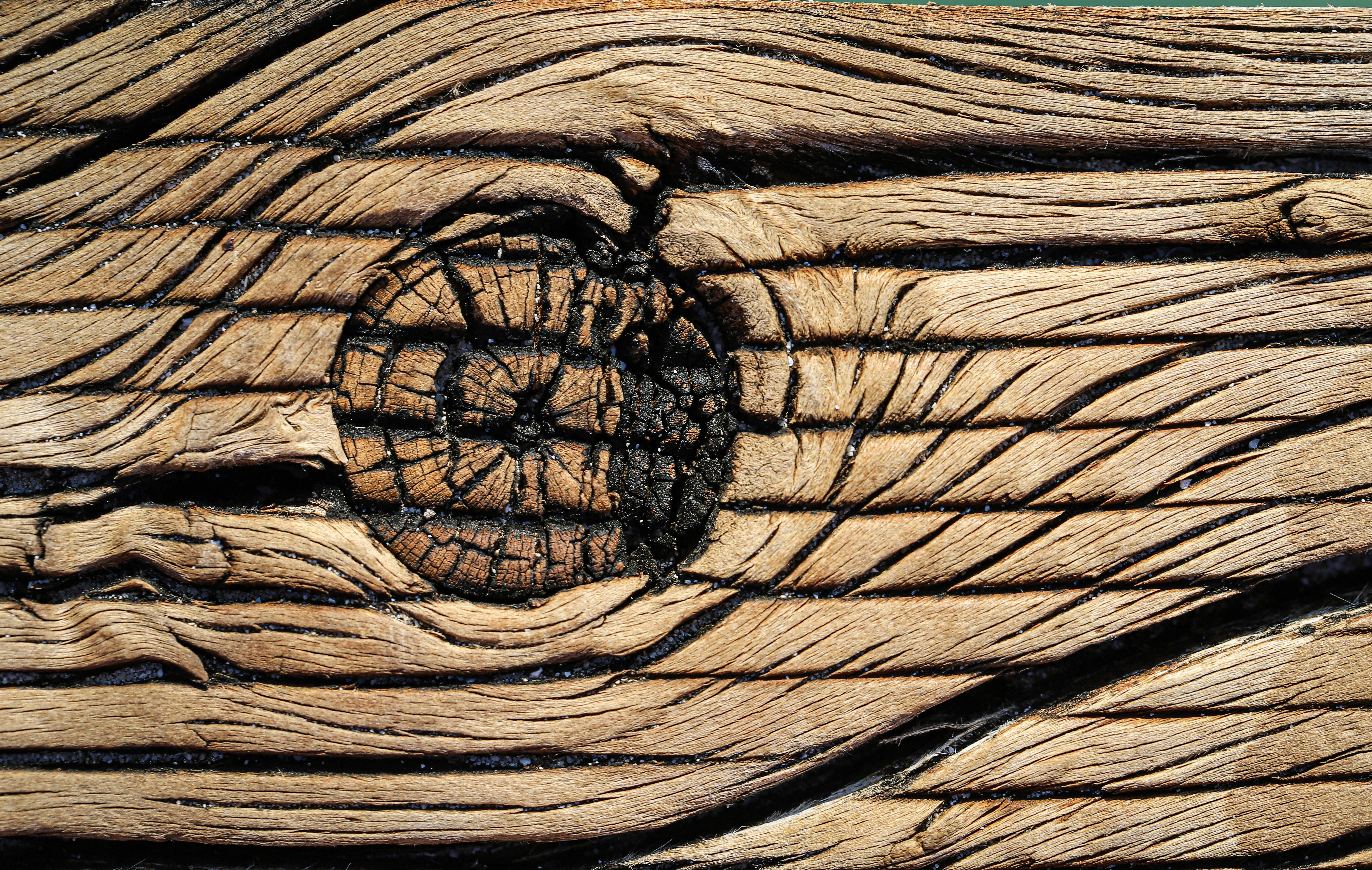 brown and black abstract painting