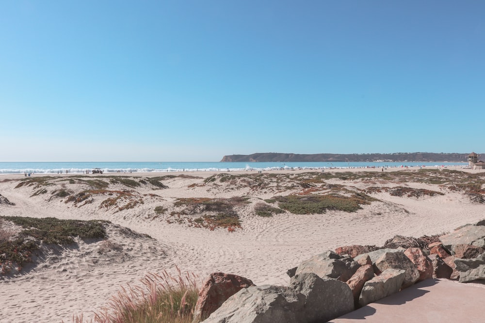 uma praia de areia com rochas e grama sobre ele