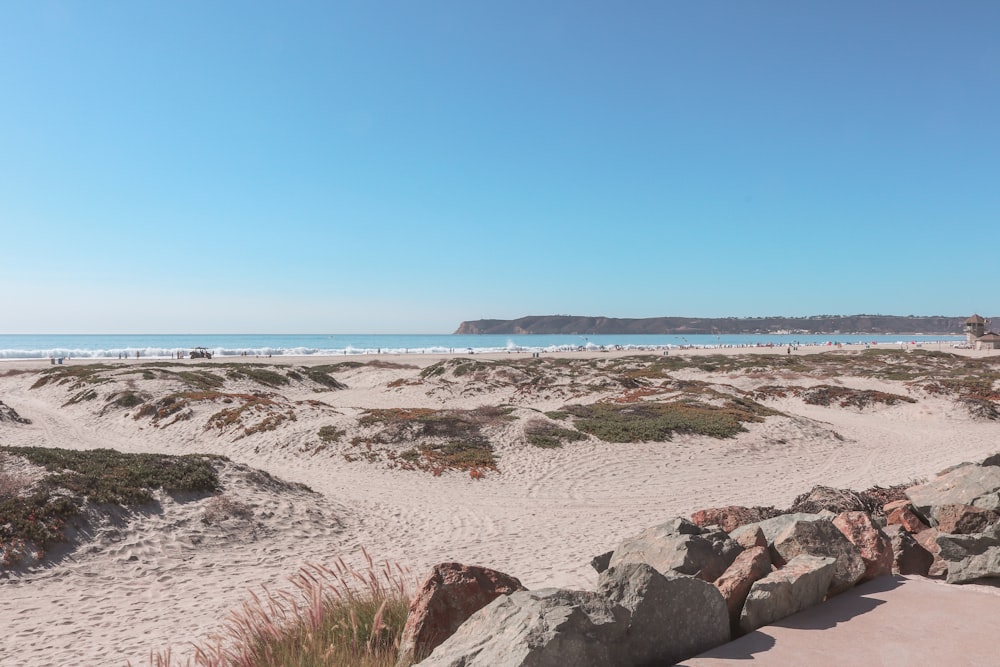 a sandy beach with rocks and grass on it