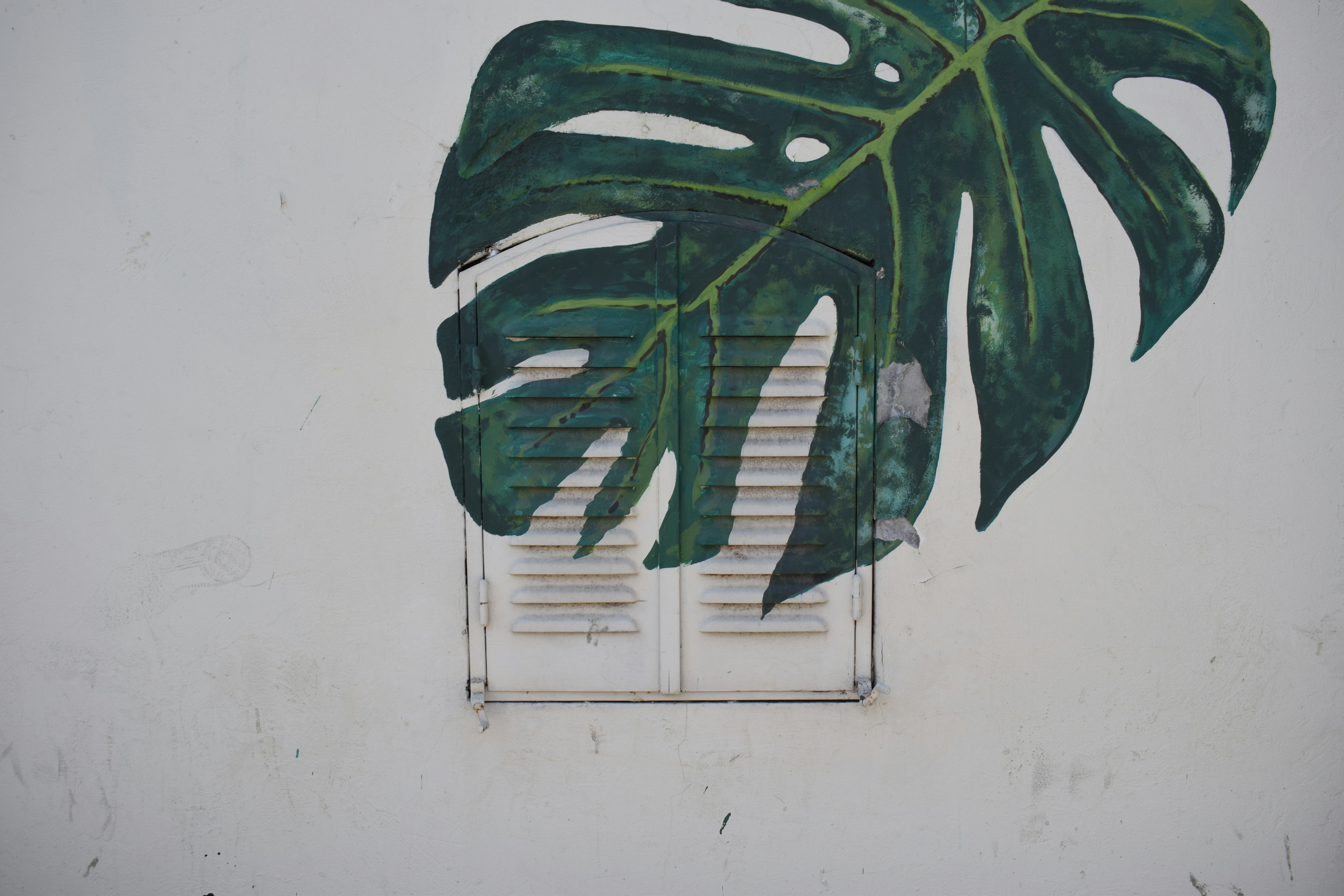 tropical balcony wallpaper, wallpaper, Tropical Balcony Ideas: Pet-Friendly Outdoor Spaces 5