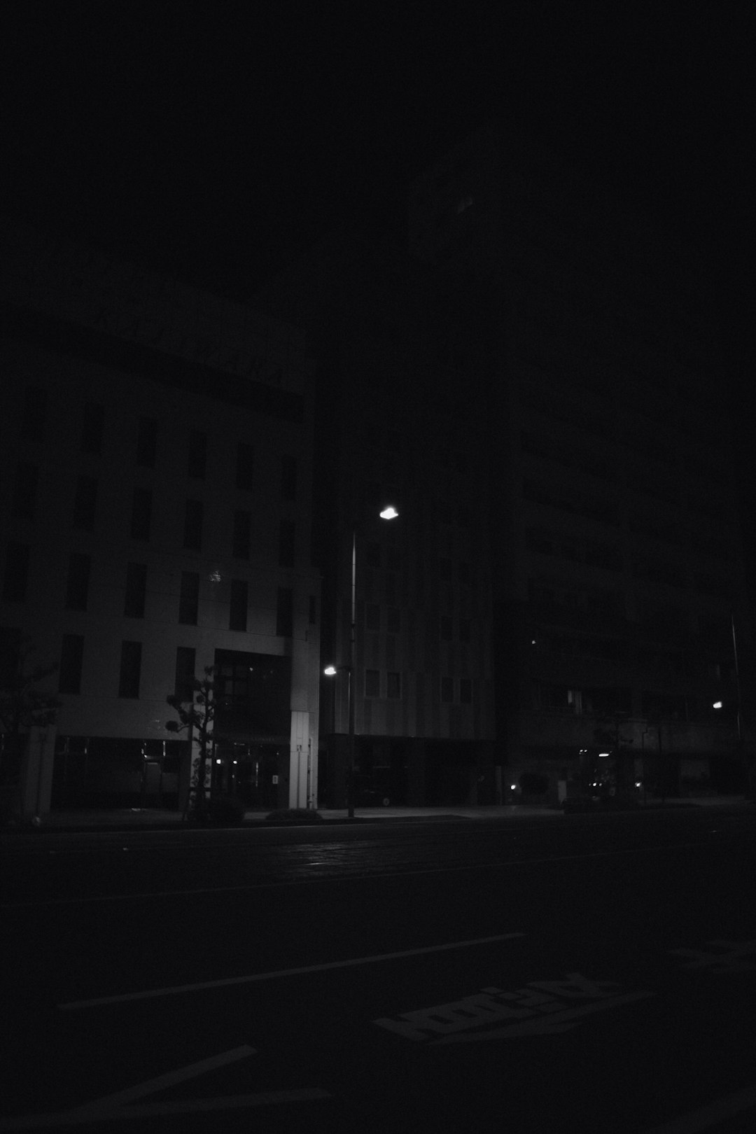 grayscale photo of city building during night time