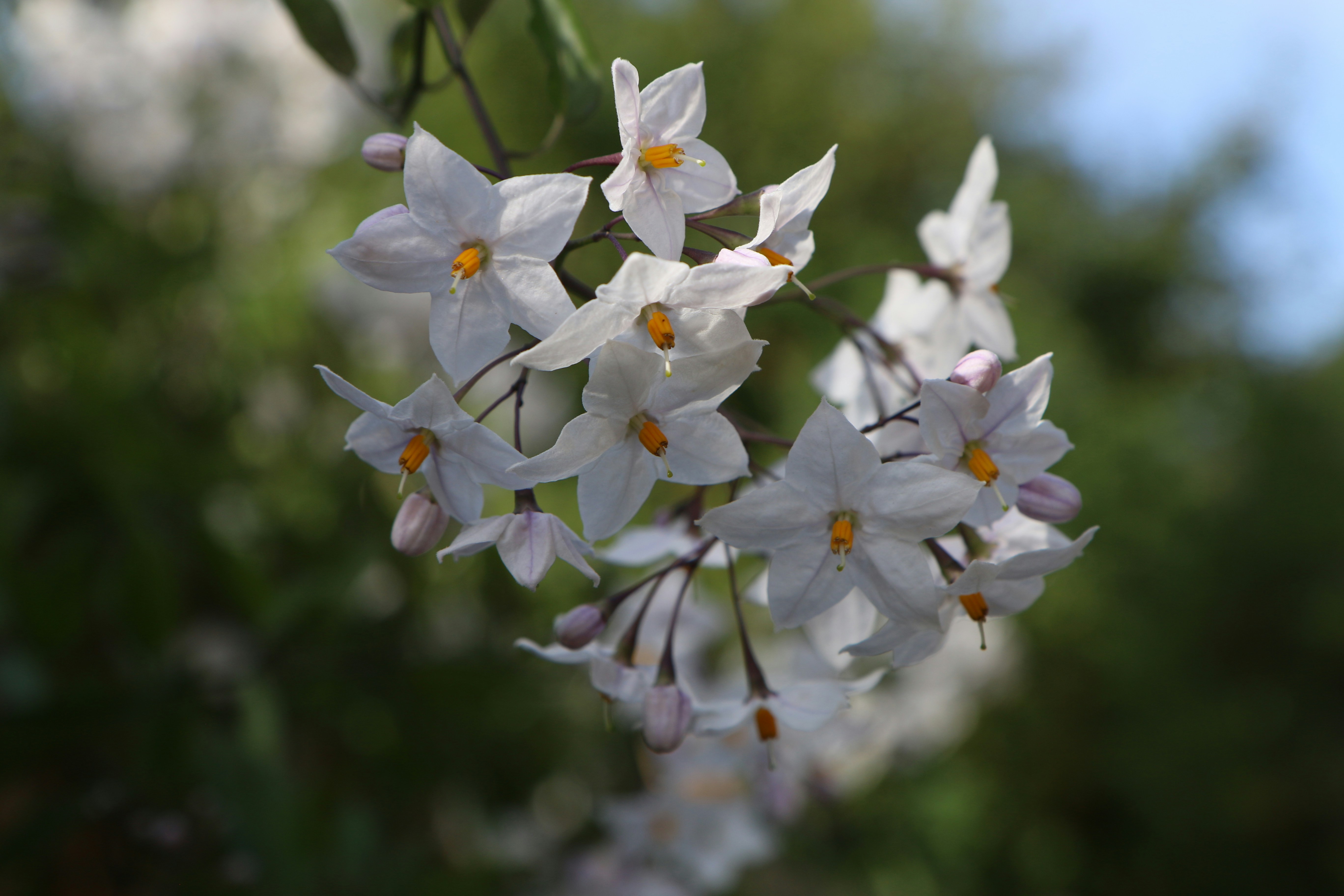 Photo by jamesphotos