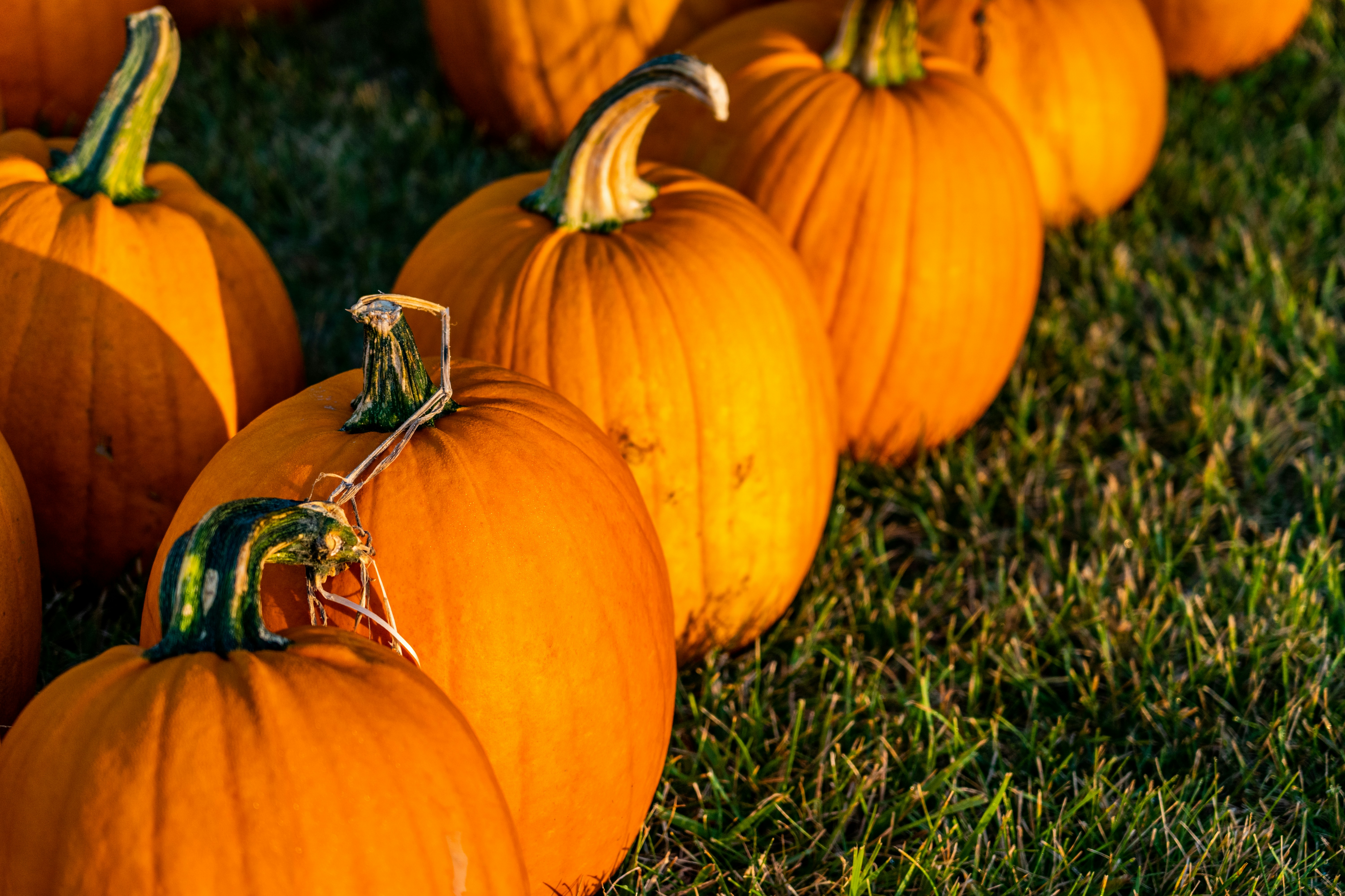 Photo by chris_robert