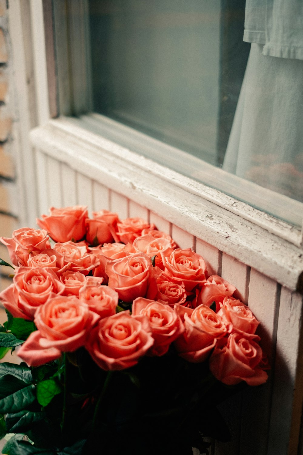a bunch of pink roses sitting in front of a window