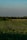 A vast field stretches out under a clear blue sky, with rows of wind turbines visible on the horizon. The green and yellow hues of the fields create a serene agricultural landscape. Wind turbines, alternating between visible and obscured by trees, capture the essence of sustainable energy amidst nature.