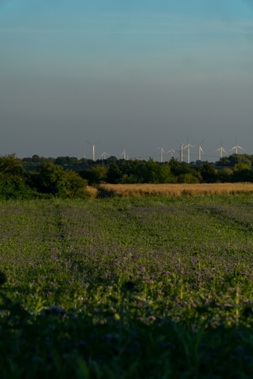 A vast field stretches out under a clear blue sky, with rows of wind turbines visible on the horizon. The green and yellow hues of the fields create a serene agricultural landscape. Wind turbines, alternating between visible and obscured by trees, capture the essence of sustainable energy amidst nature.