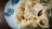 A plate of dumplings is arranged on a decorative dish with floral patterns. The dumplings have a smooth, glossy texture and appear freshly cooked, with steam visible rising from them.