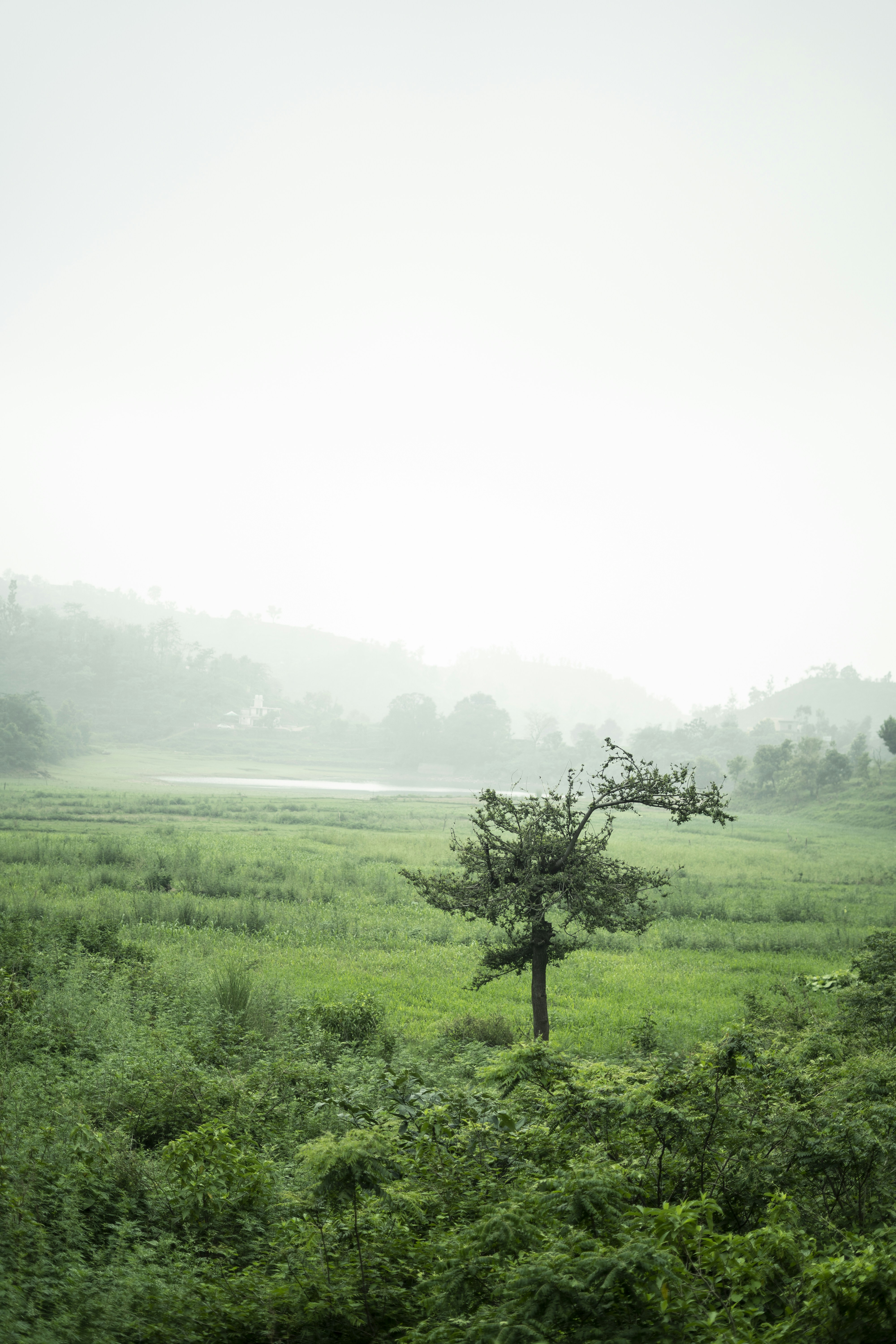 Photo by yogendras31